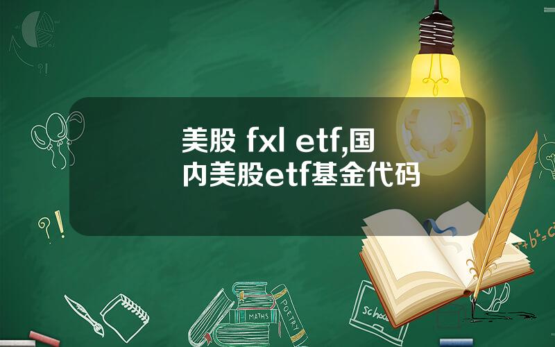 美股 fxl etf,国内美股etf基金代码